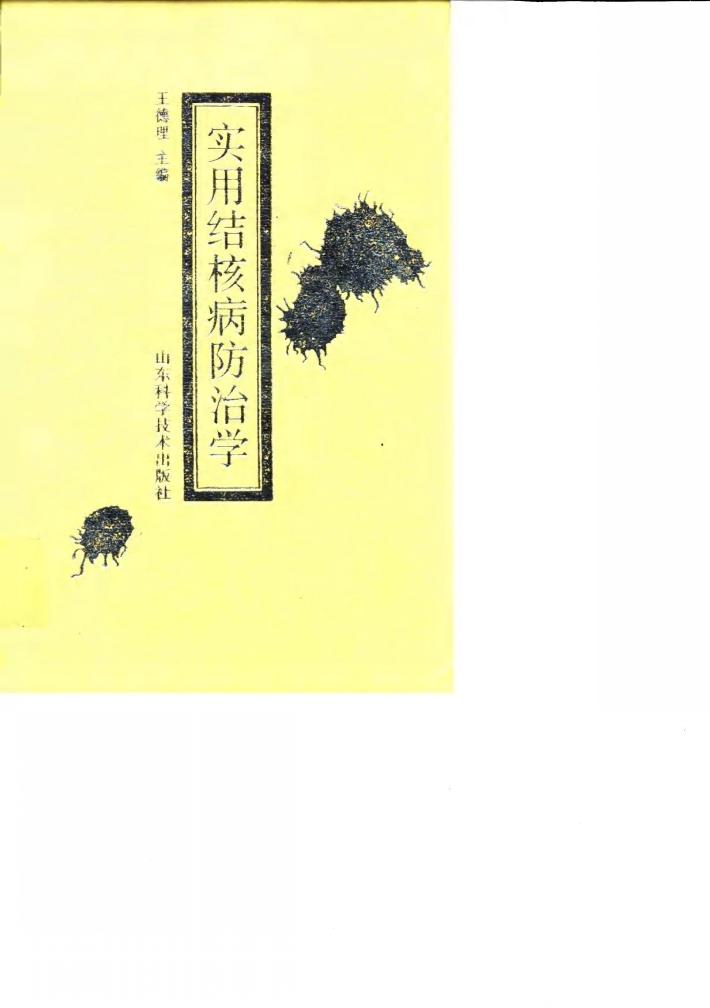 实用结核病防治学 封面