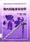 骨内科临床诊治学 封面