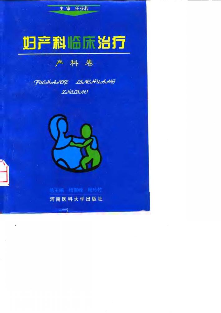 妇产科临床治疗 封面