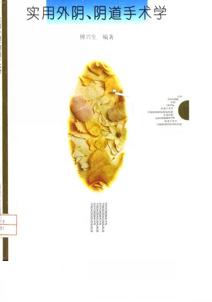 实用外阴、阴道手术学 封面