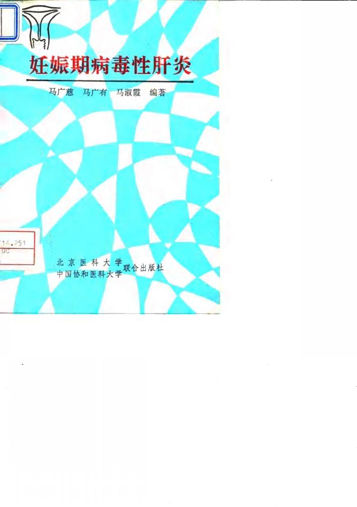 妊娠期病毒性肝炎 封面