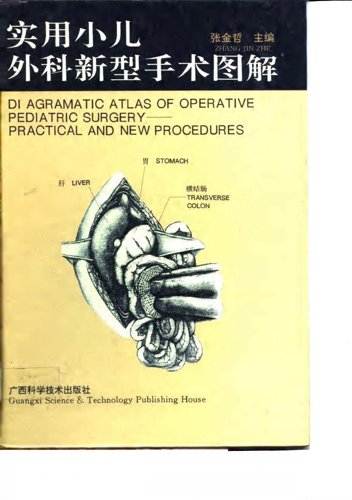 实用小儿外科新型手术图解 封面