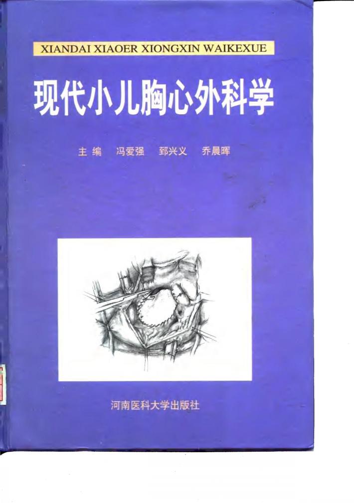 现代小儿胸心外科学 封面