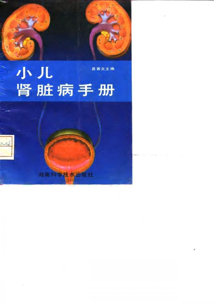 小儿肾脏病手册 封面