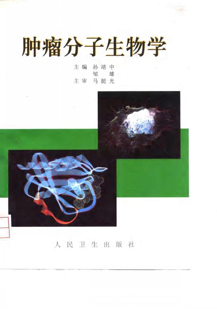 肿瘤分子生物学 封面