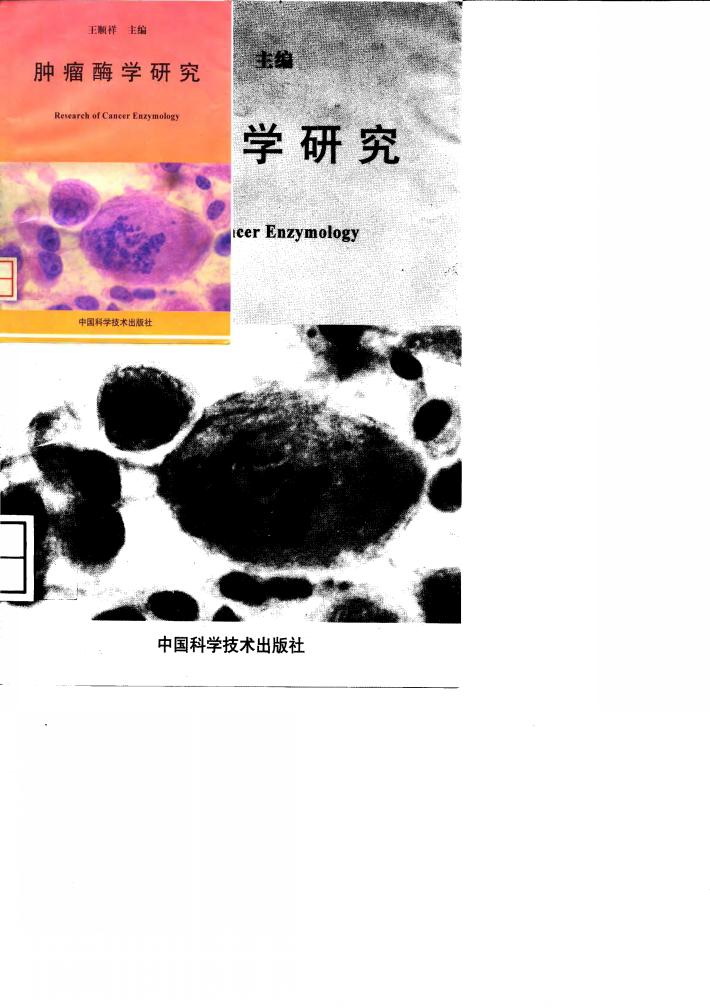 肿瘤酶学研究 封面