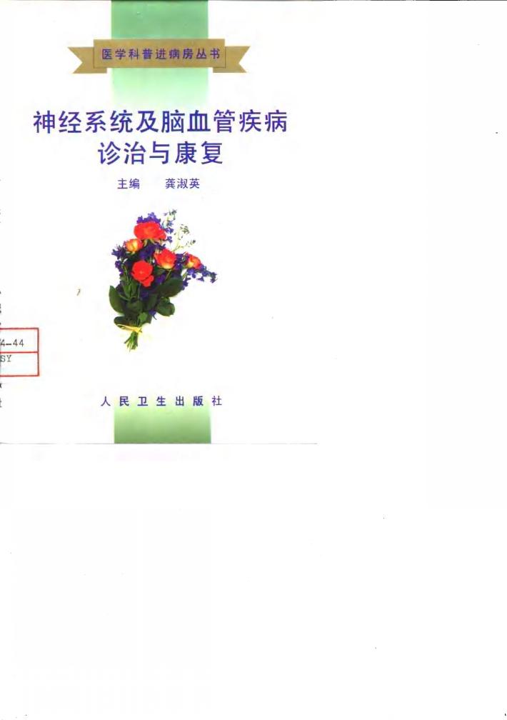 神经系统及脑血管疾病诊治与康复 封面