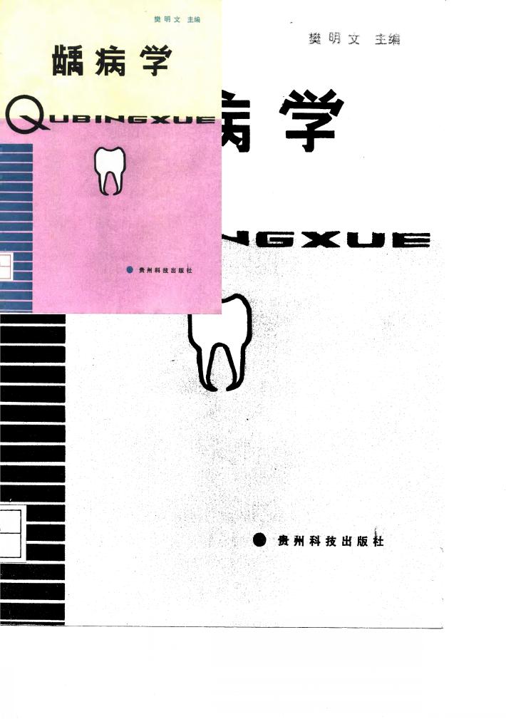 龋病学 封面