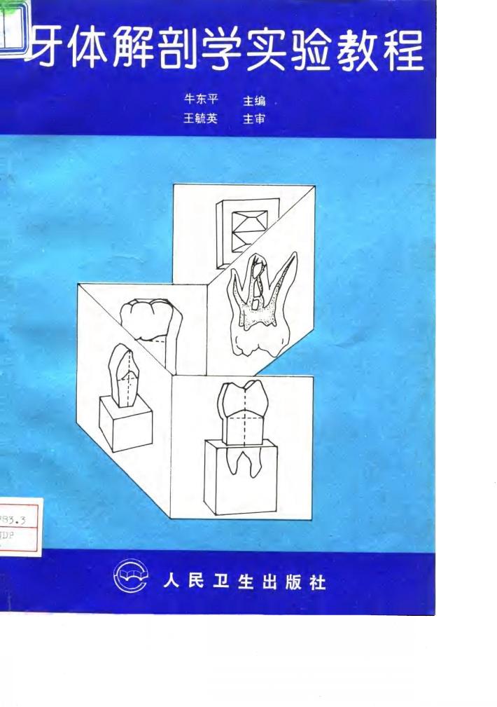 牙体解剖学实验教程 封面
