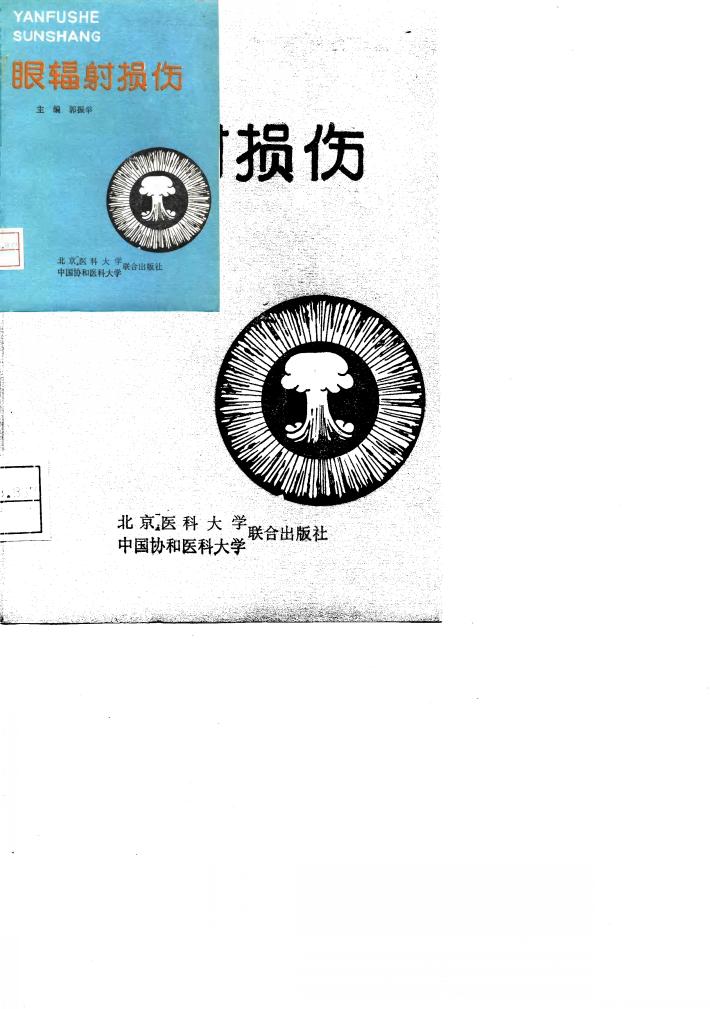眼辐射损伤 封面