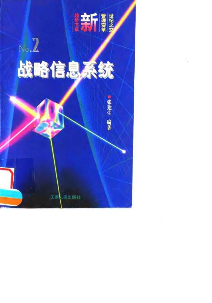 战略信息系统  从信息中获取优势 封面