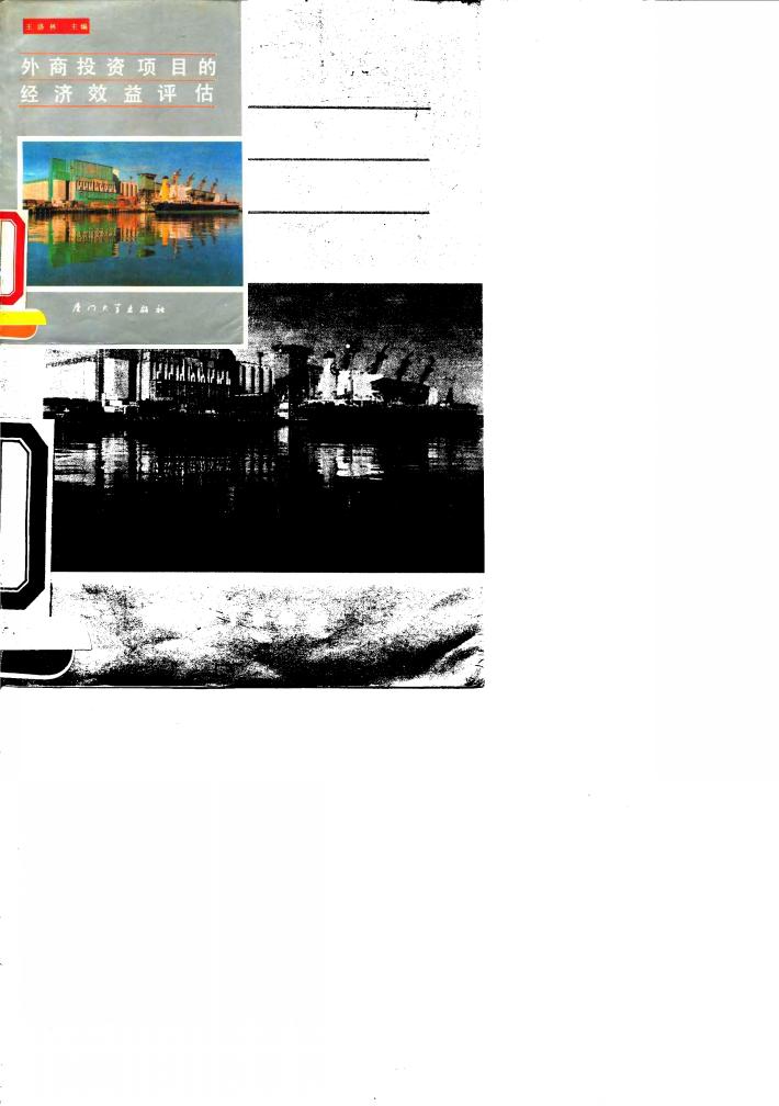 外商投资项目的经济效益评估 封面