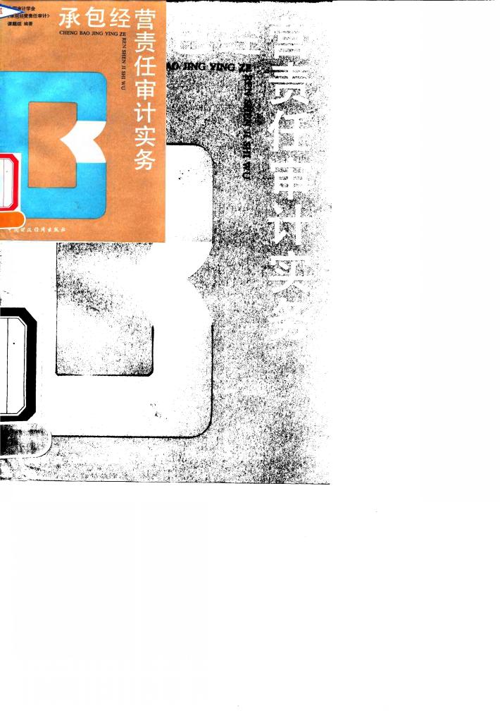 承包经营责任审计实务 封面
