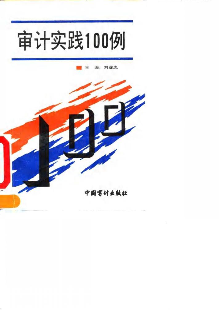 审计实践100例 封面