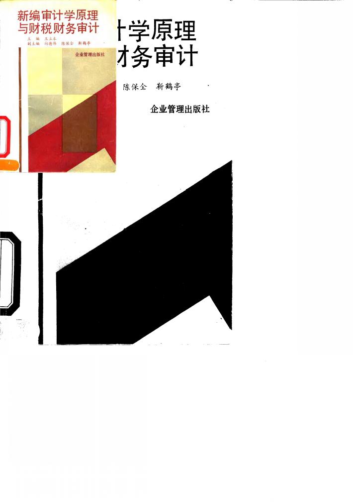 新编审计学原理与财税财务审计 封面
