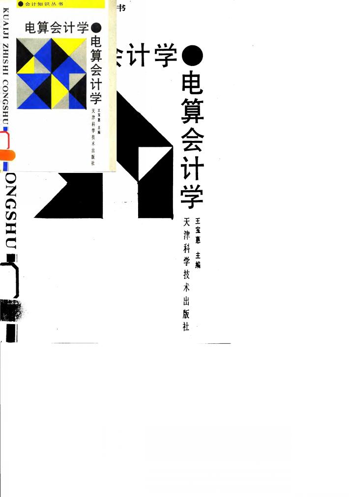 电算会计学 封面