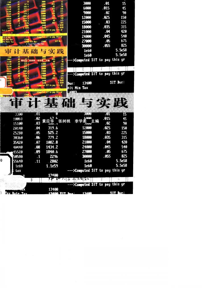 审计基础与实践 封面