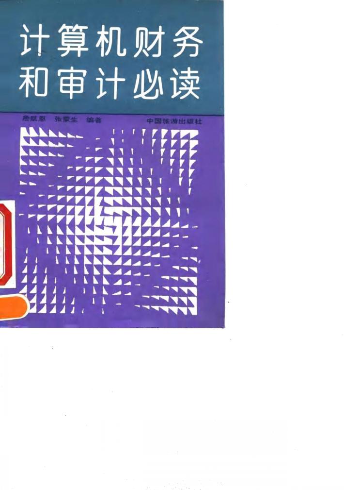 计算机财务和审计必读 封面