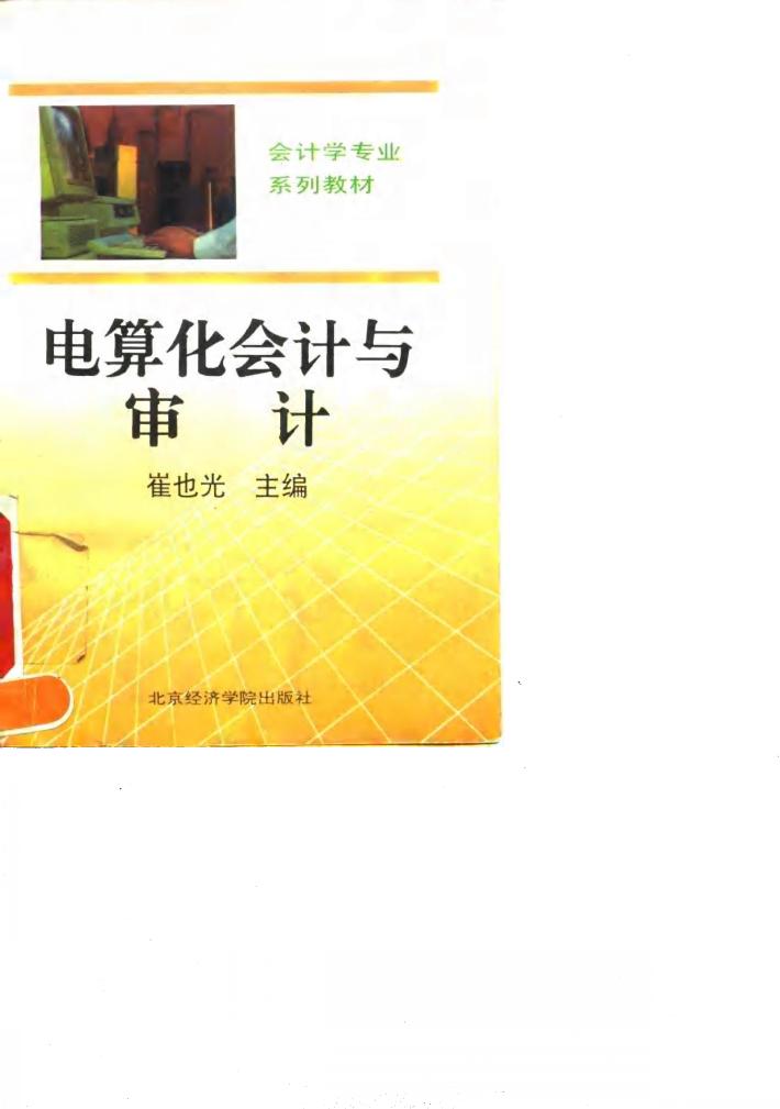 电算化会计与审计 封面
