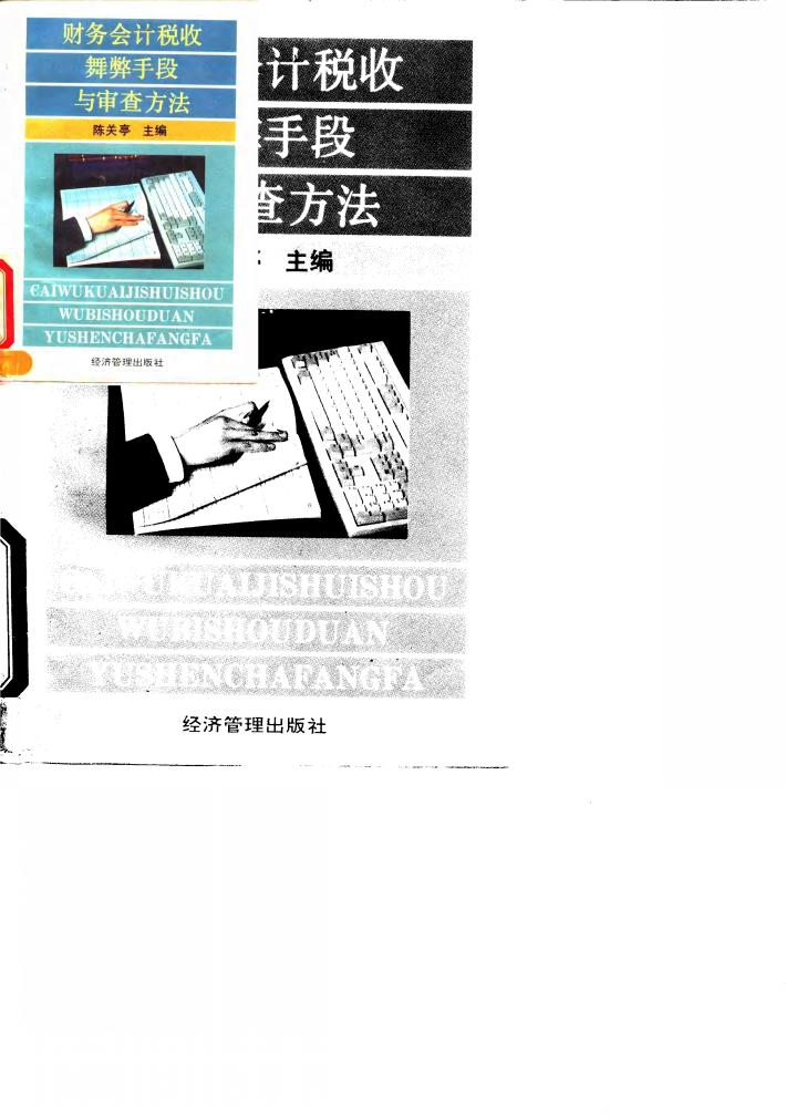 财务会计税收舞弊手段与审查方法 封面