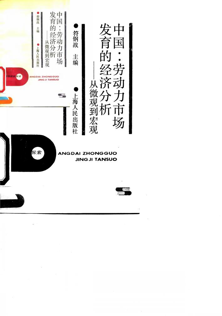 中国：劳动力市场发育的经济分析  从微观到宏观 封面