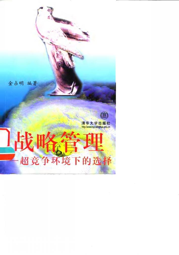 战略管理  超竞争环境下的选择 封面