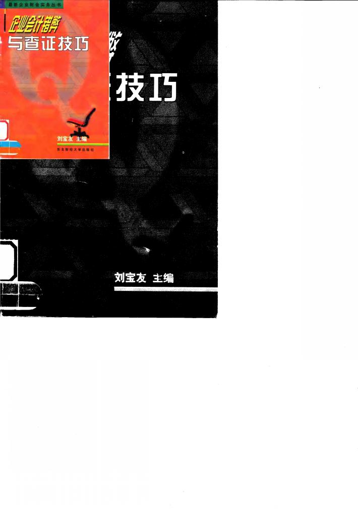 企业会计错弊与查证技巧 封面