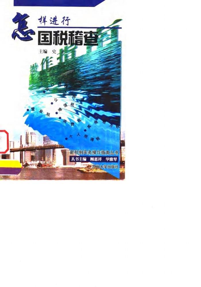 怎样进行国税稽查 封面