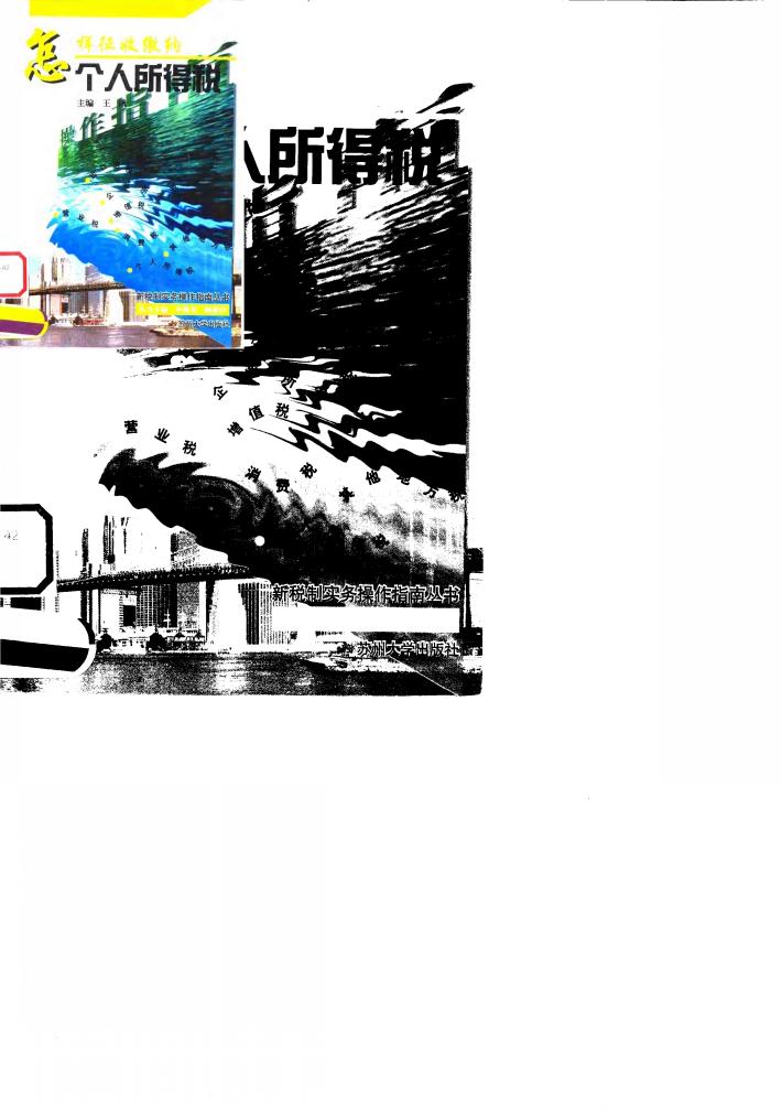 怎样征收缴纳个人所得税 封面