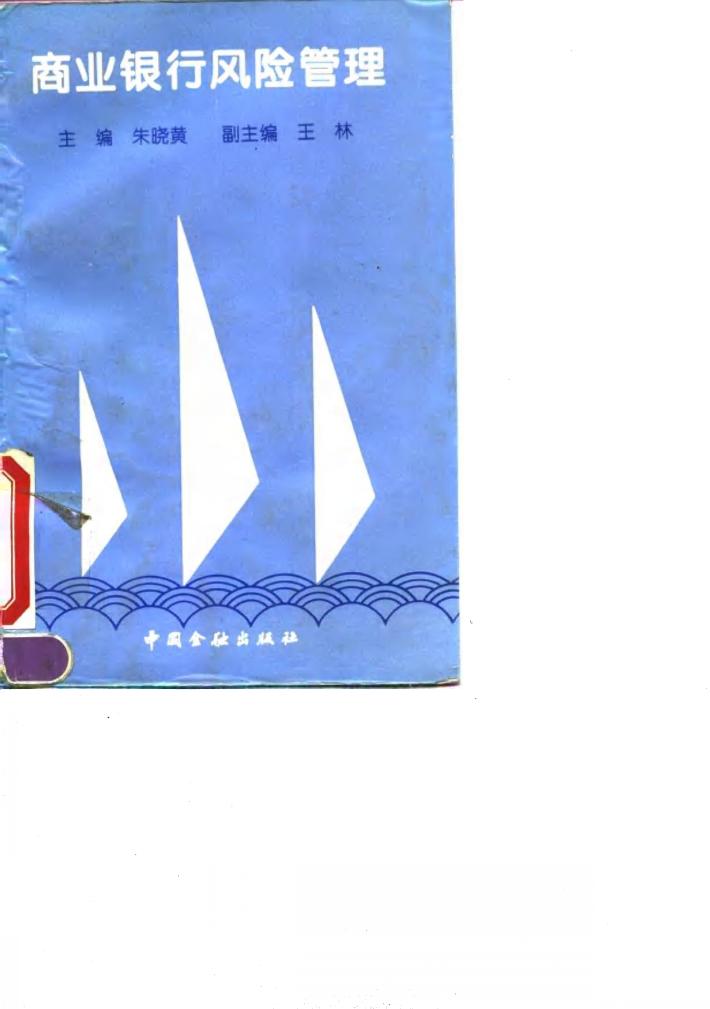 商业银行风险管理 封面