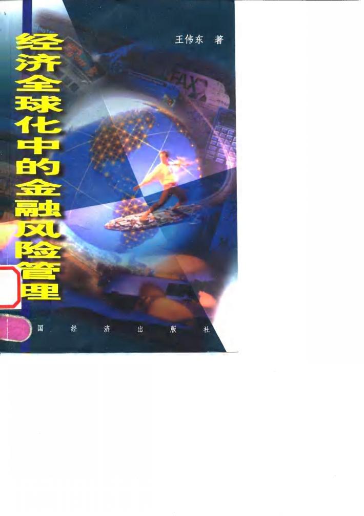 经济全球化中的金融风险管理 封面
