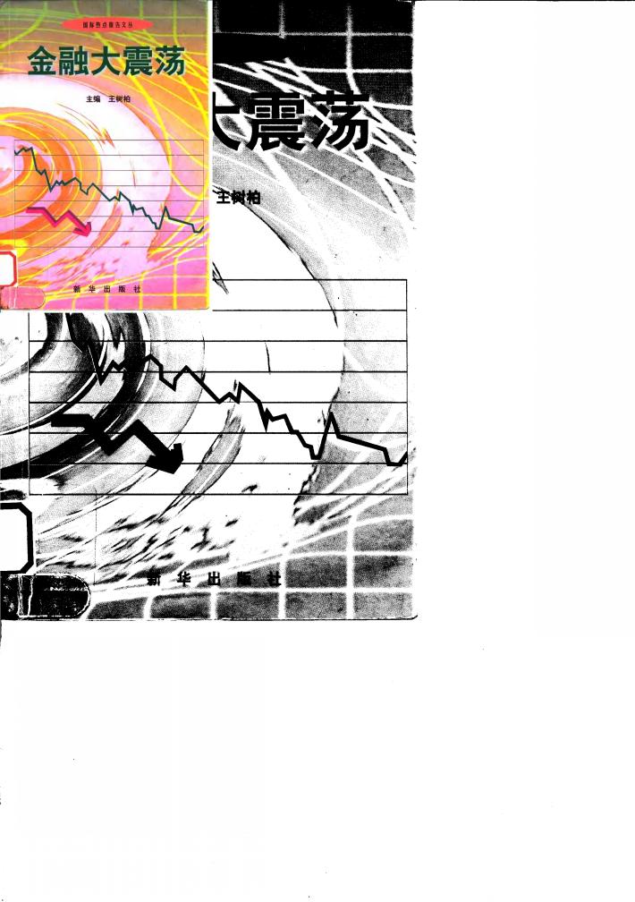 金融大震荡 封面