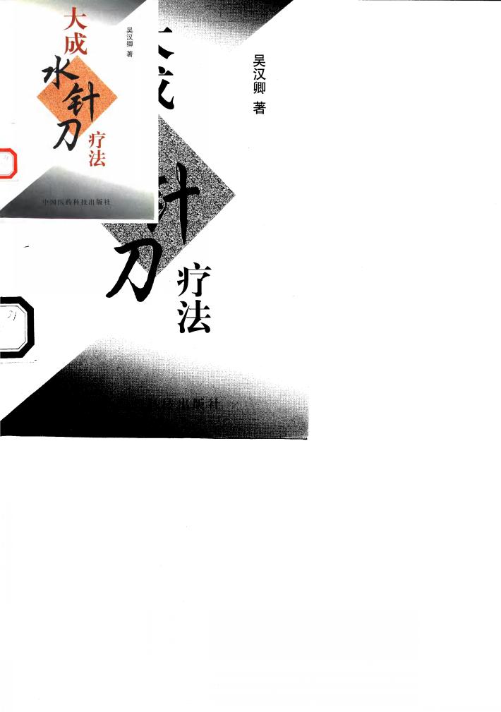 大成水针刀疗法 封面