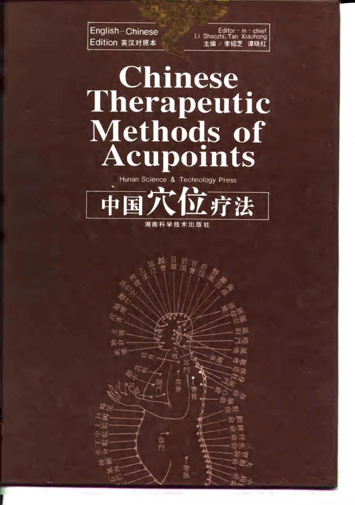 中国穴位疗法 封面