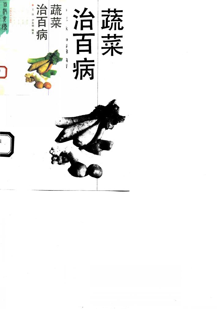 蔬菜治百病 封面
