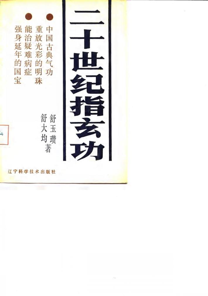 二十世纪指玄功 封面