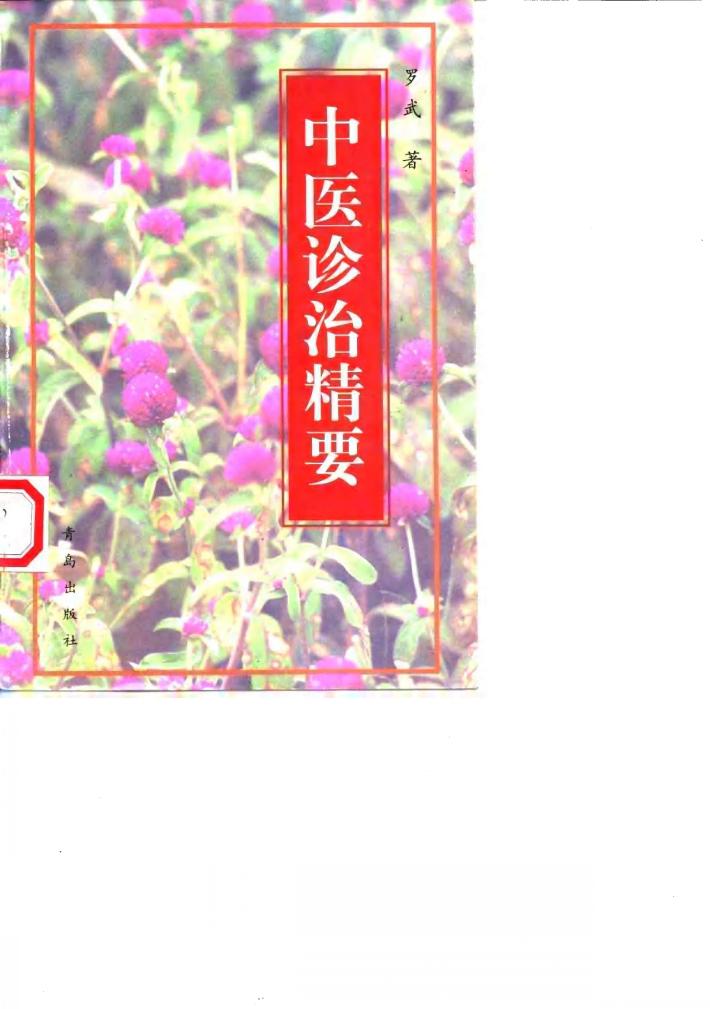 中医诊治精要 封面