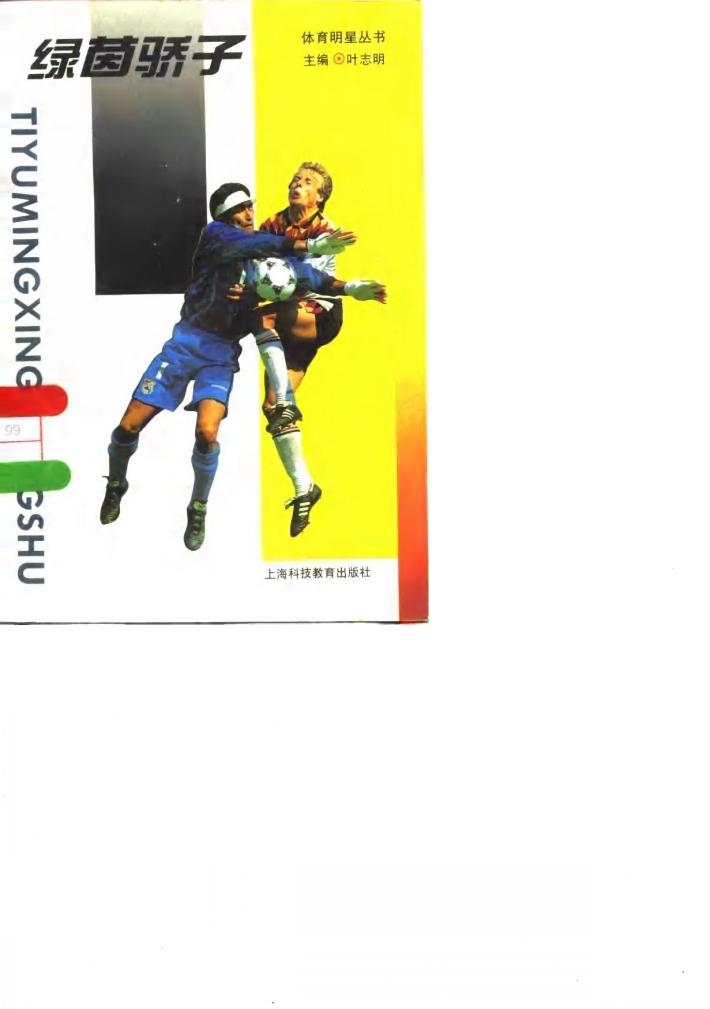 绿茵骄子 封面