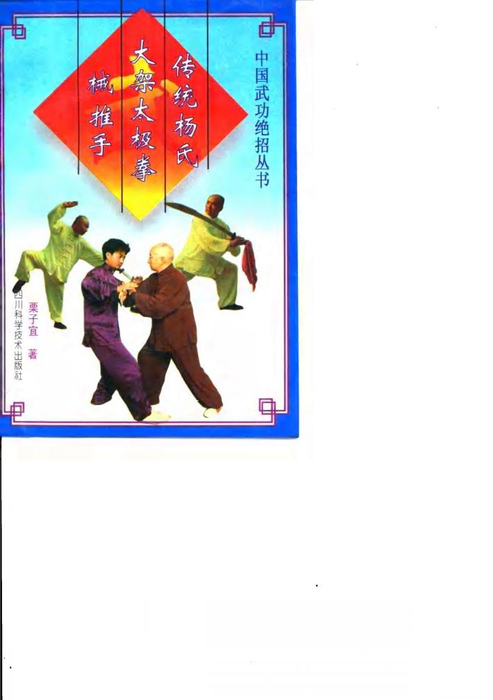 传统杨式大架太极拳械推手 封面