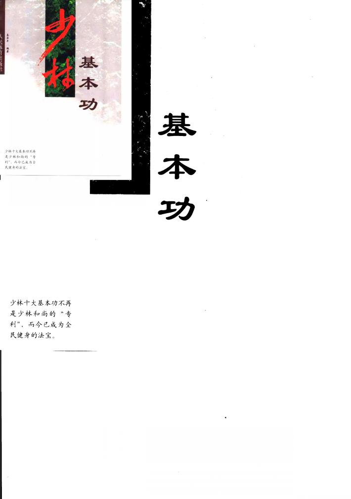 少林基本功 封面