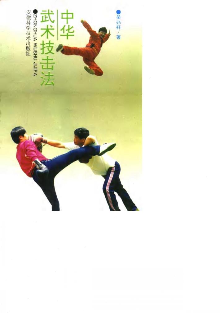 中华武术技击法 封面