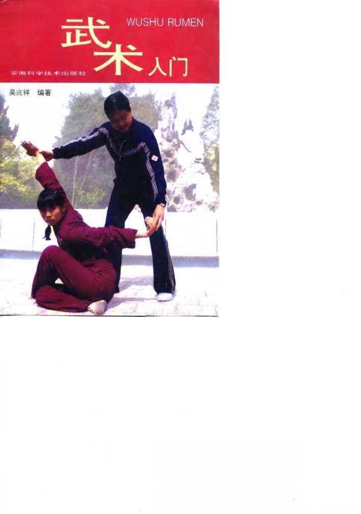 武术入门 封面