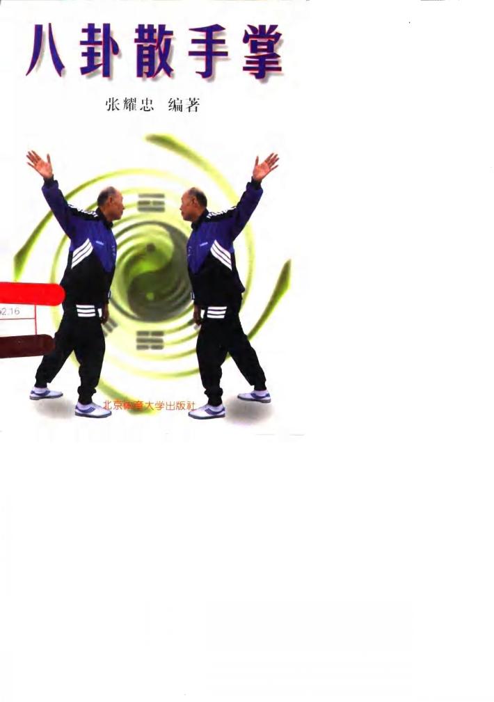 八卦散手掌 封面