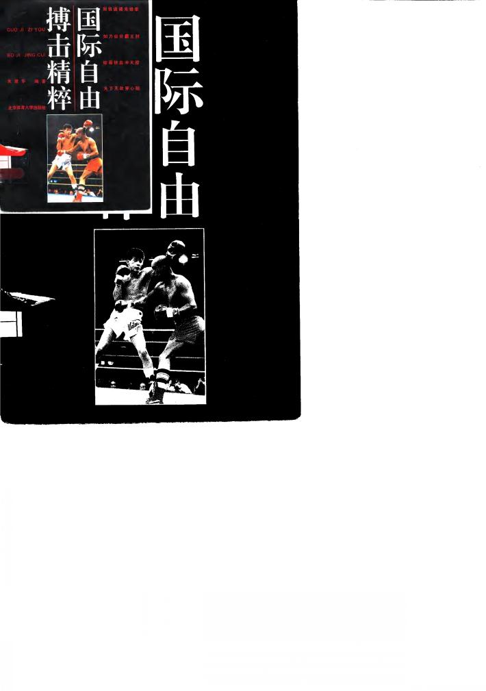 国际自由搏击精粹 封面