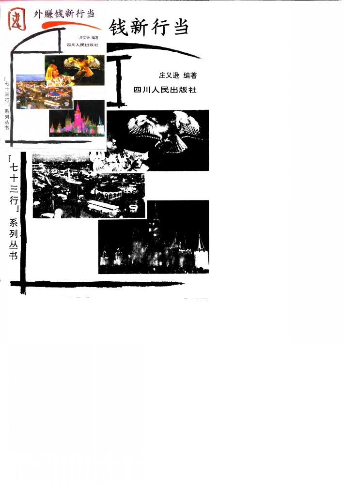 国外赚钱新行当 封面