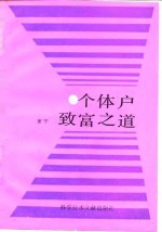 个体户致富之道 封面