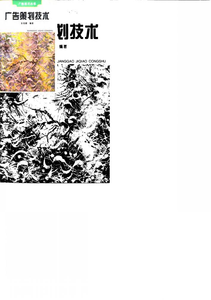 广告策划技术 封面