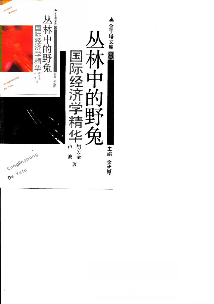 丛林中的野兔 国际经济学精华 封面