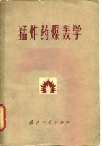 猛炸药爆轰学 封面