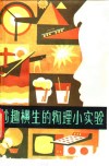 妙趣横生的物理小实验 封面